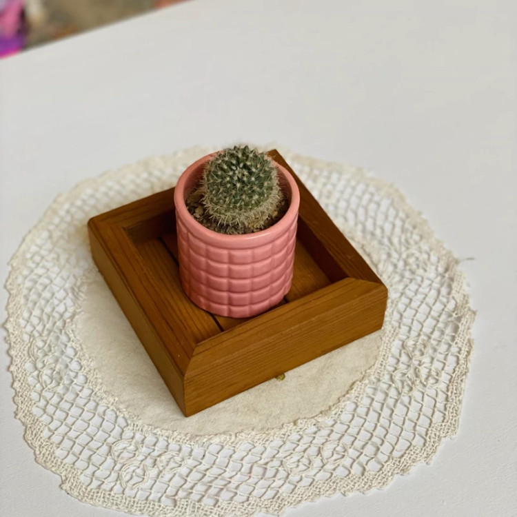 سینی چوبی کوچک